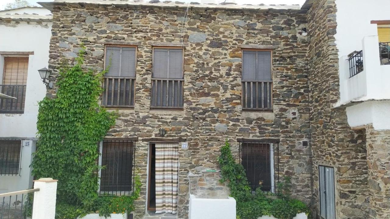 El Nogal Daire Bubión Dış mekan fotoğraf