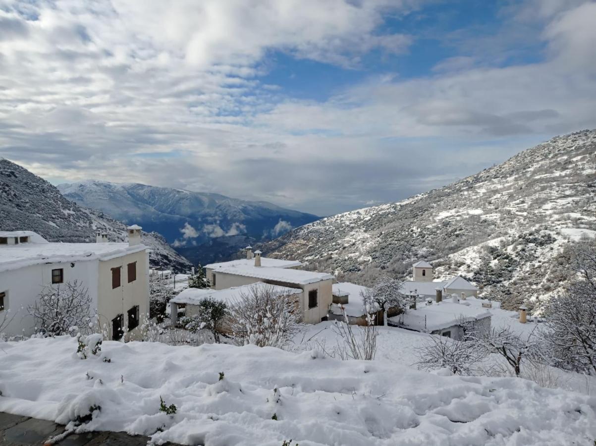 El Nogal Daire Bubión Dış mekan fotoğraf
