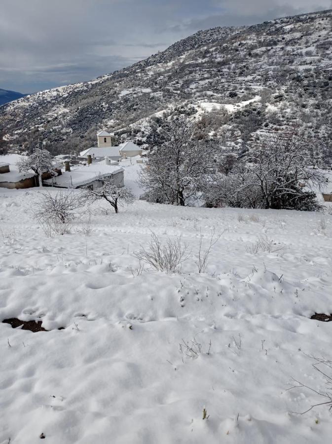 El Nogal Daire Bubión Dış mekan fotoğraf