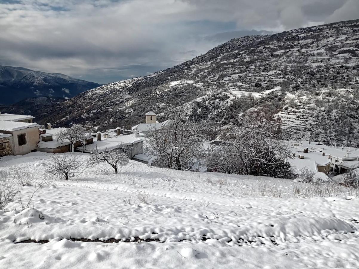 El Nogal Daire Bubión Dış mekan fotoğraf