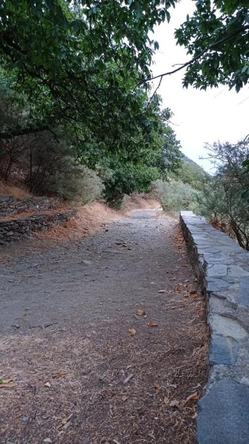 El Nogal Daire Bubión Dış mekan fotoğraf