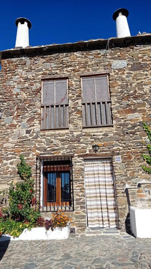 El Nogal Daire Bubión Dış mekan fotoğraf