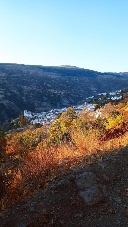 El Nogal Daire Bubión Dış mekan fotoğraf
