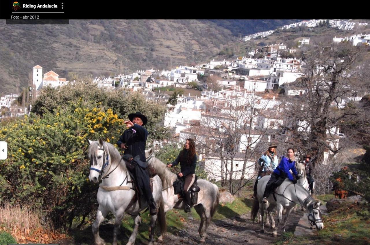 El Nogal Daire Bubión Dış mekan fotoğraf